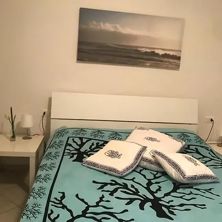 Vakantiehuis Barracuda *